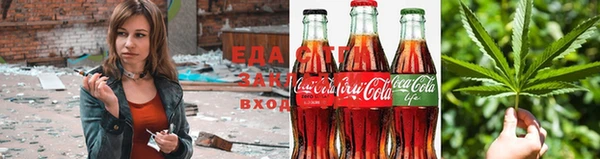 шишки Белокуриха