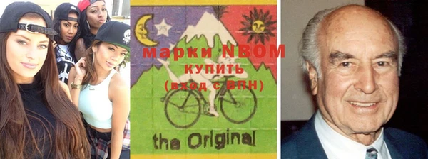 шишки Белокуриха