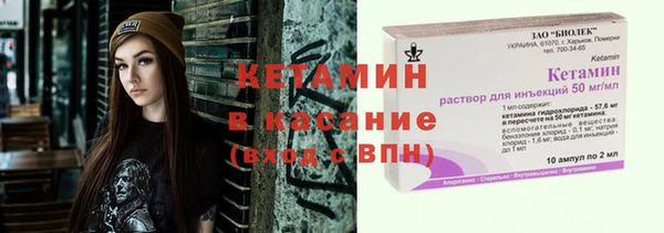 шишки Белокуриха