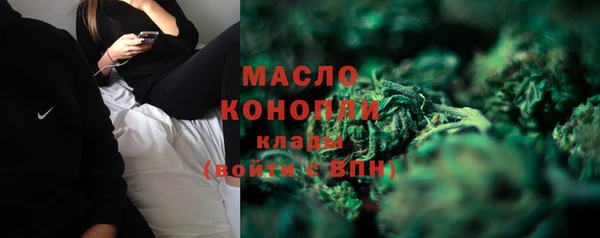 шишки Белокуриха