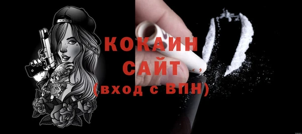 шишки Белокуриха
