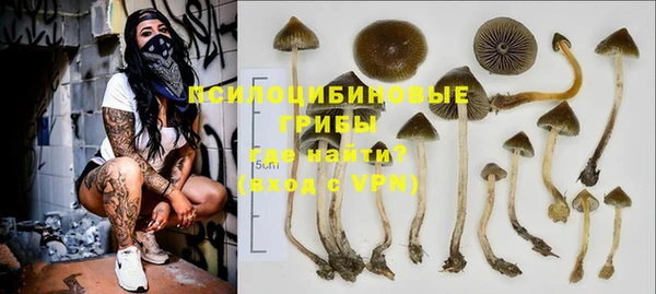 ешки Гатчина