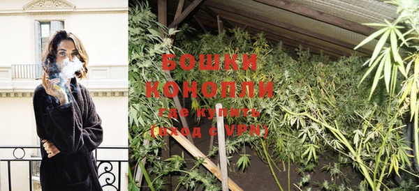 шишки Белокуриха