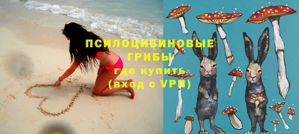 стафф Богданович