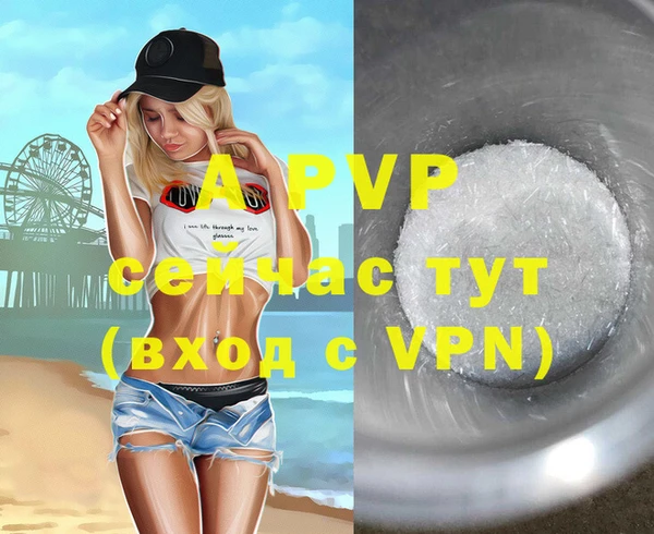 стафф Богданович